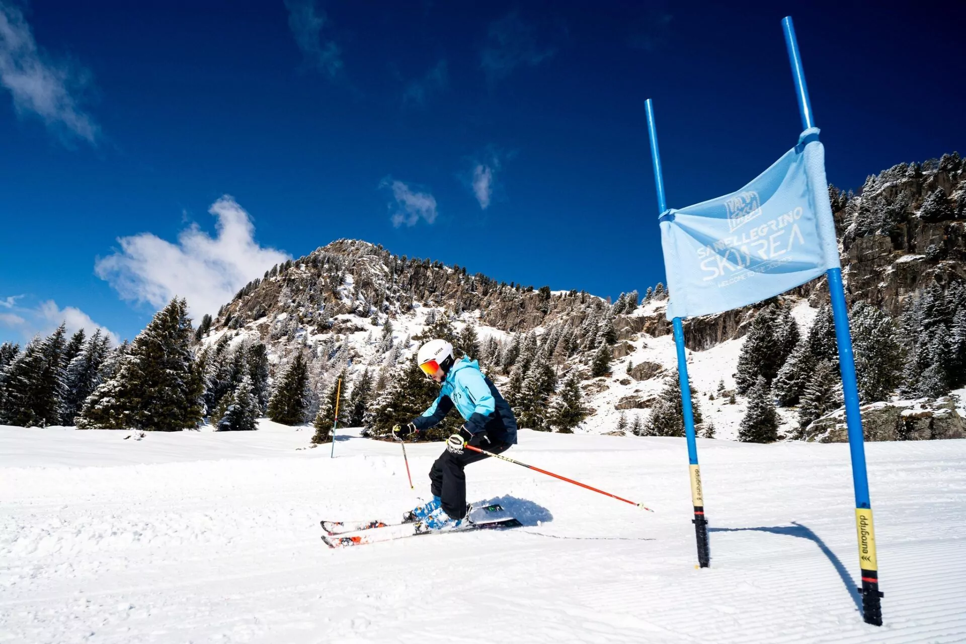 494011585 1313384320544978 1684547691123060842 n